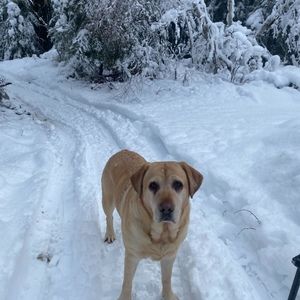 Meet your Posher, Glenn